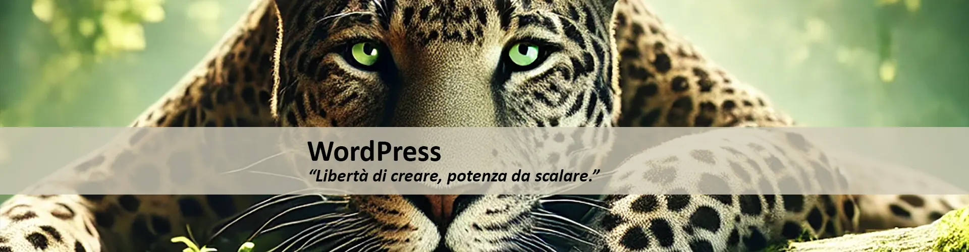 Wordpress Blog Leopardo - GervaWeb